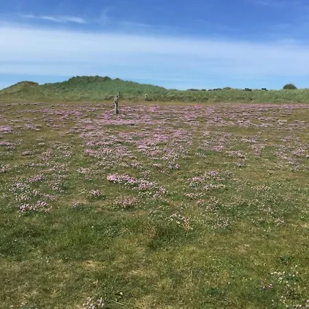 Lokken Strand Camping Campsite