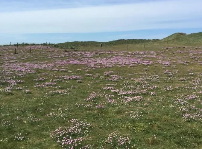 Lokken Strand Camping Campsite